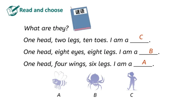 Unit 6 Useful numbers  Part B Let's learn(优课）课件（19
