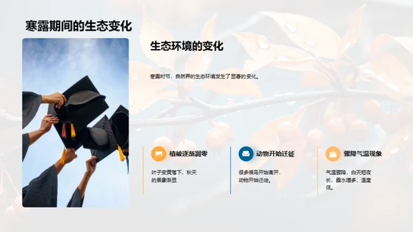 探索寒露节气