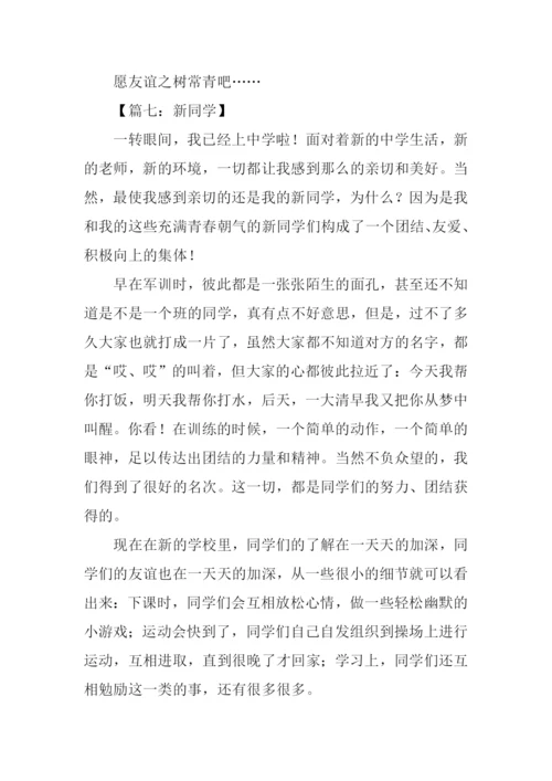 新同学作文500字.docx