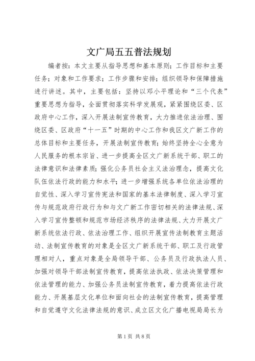 文广局五五普法规划.docx