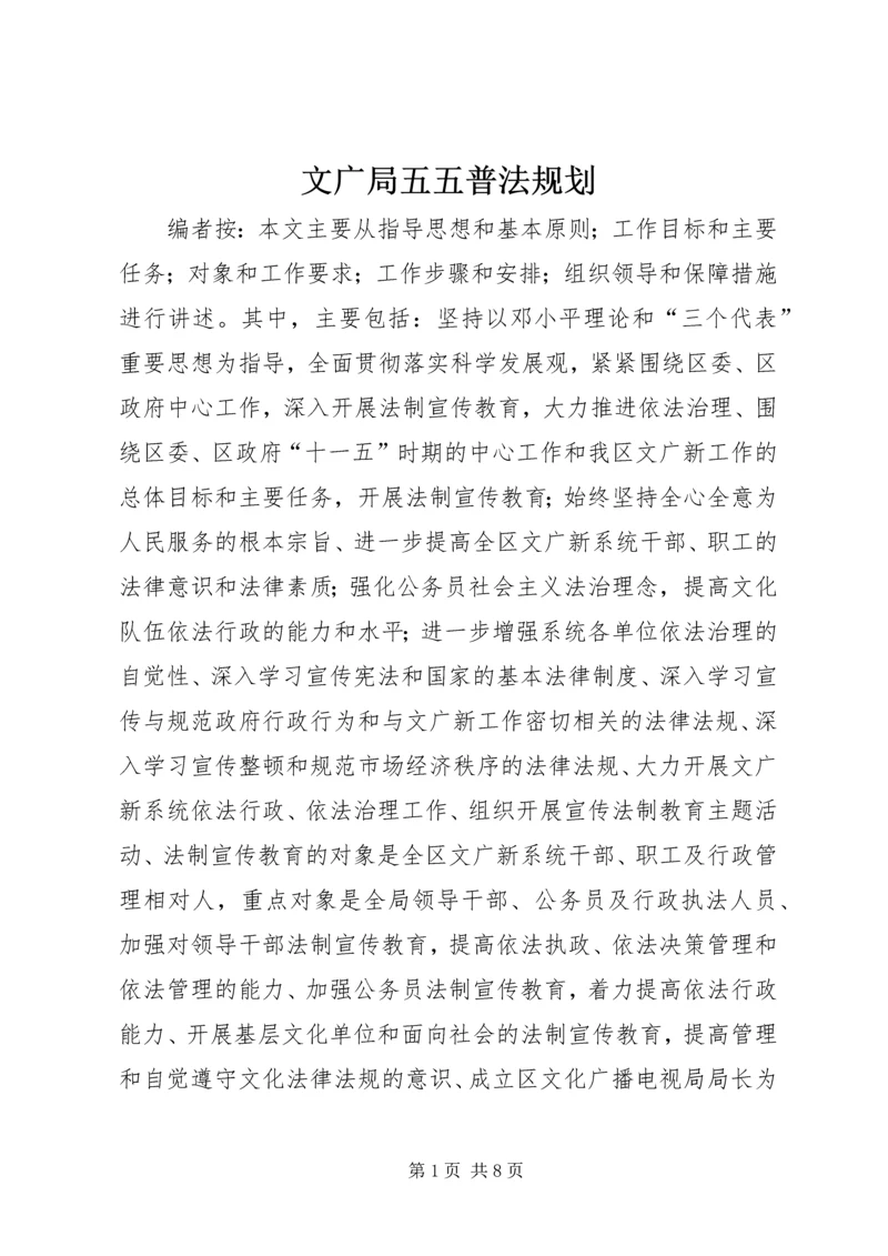 文广局五五普法规划.docx