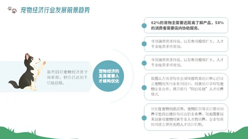 插画风宠物经济行业前景分析报告PPT