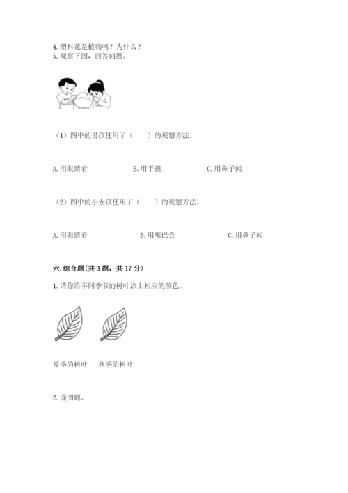 教科版一年级上册科学期末测试卷含答案【精练】.docx