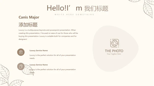 淡雅小清新终工作总结通用PPT动态模板