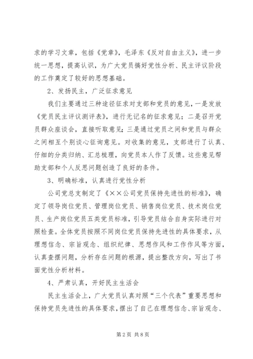 党支部全面总结.docx