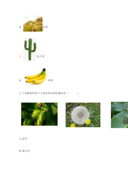 教科版科学四年级下册第一单元《植物的生长变化》测试卷及答案【新】.docx