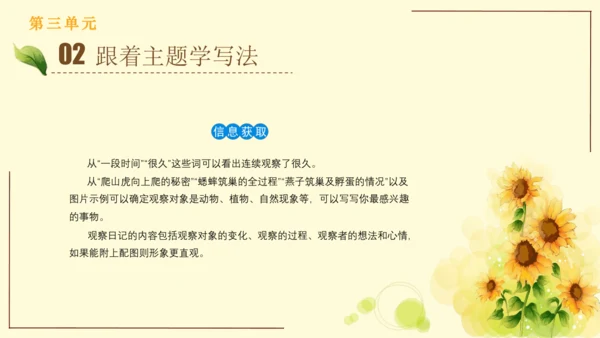 统编版语文四年级上册2024-2025学年度第三单元习作： 写观察日记（课件）