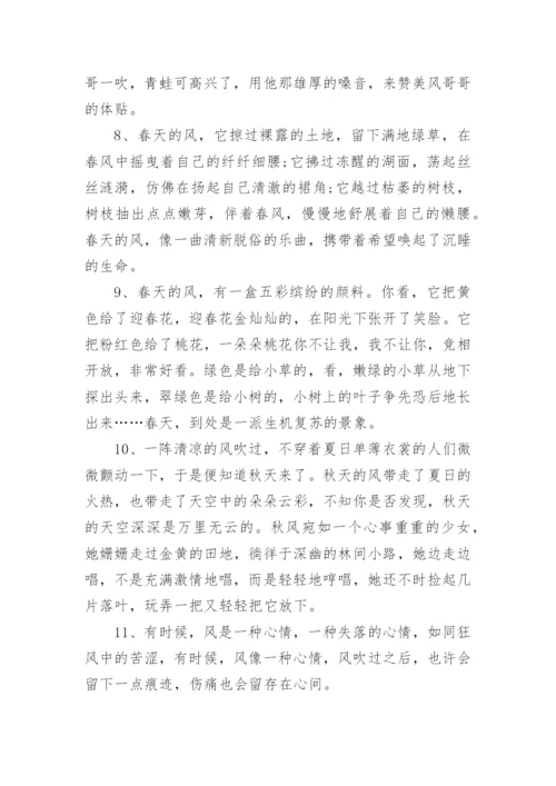 写风的优美段落.docx