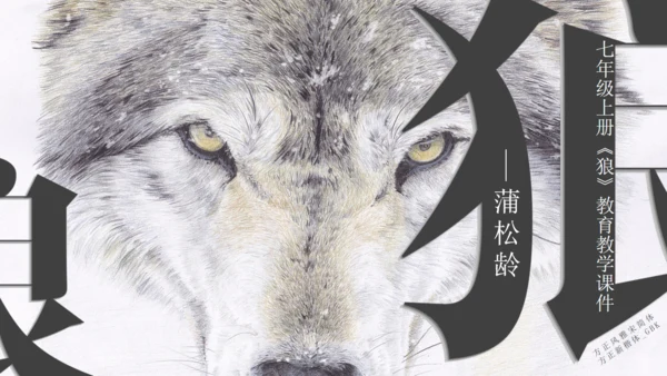七年级《狼》蒲松龄通用PPT课件