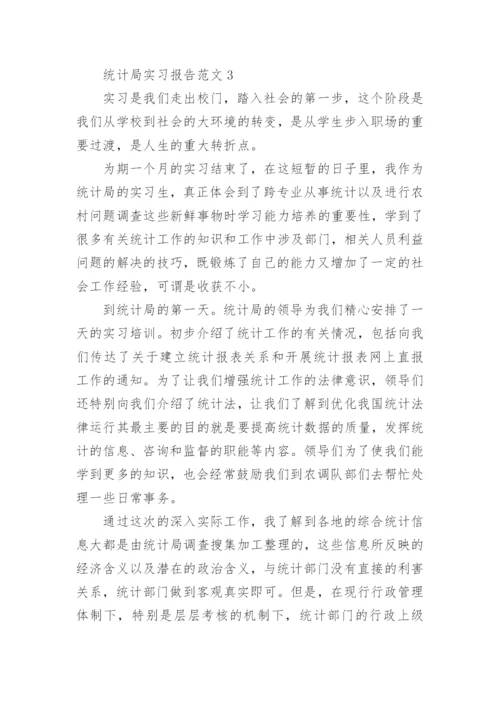 统计局实习报告范文.docx