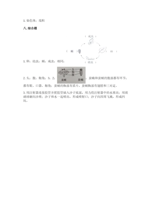 教科版科学三年级下册 期末测试卷（典优）.docx