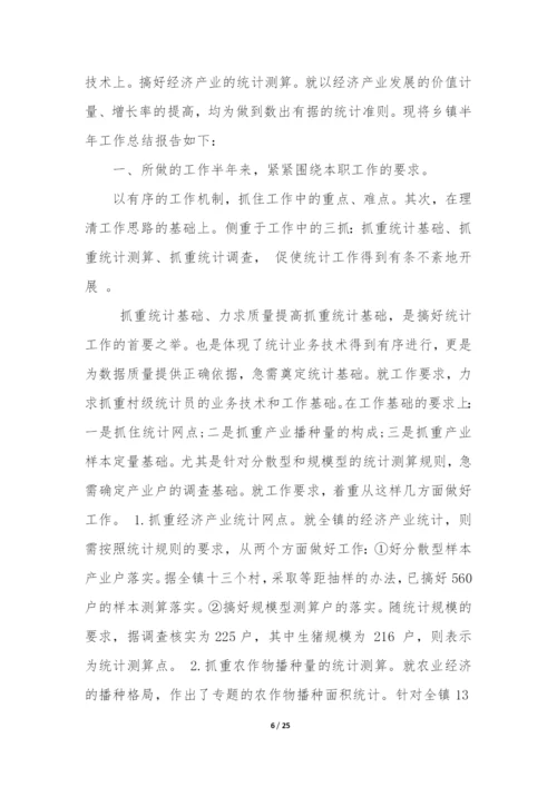 乡镇统计工作年度工作总结6篇.docx