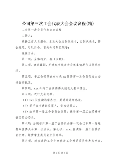 公司第三次工会代表大会会议议程(精) (3).docx