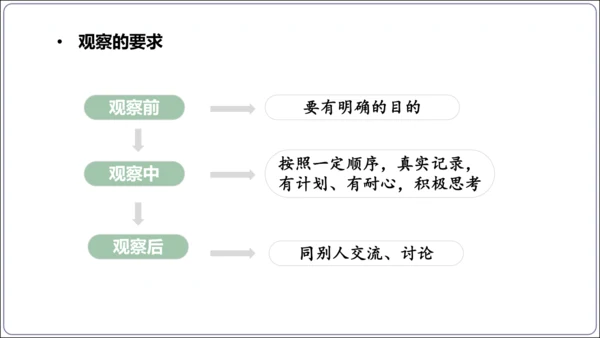 1.1&1.2 认识生物和细胞（复习课件）【2024人教新版七上生物高效完全备课】(共44张PPT)