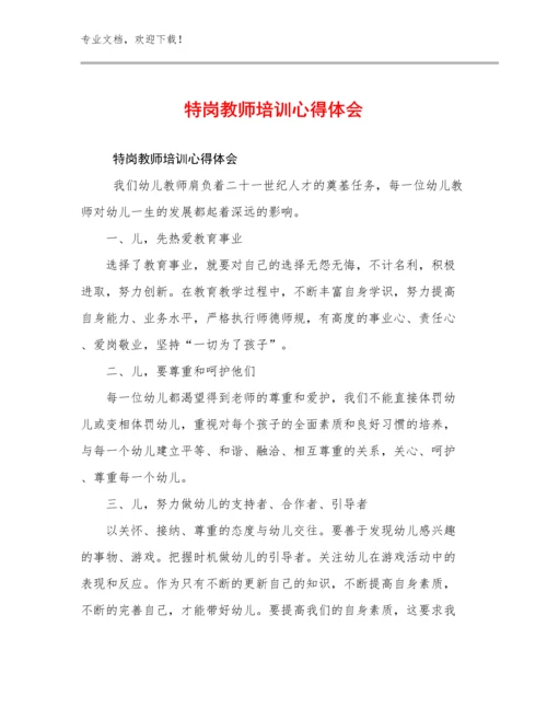 2024特岗教师培训心得体会范文14篇.docx