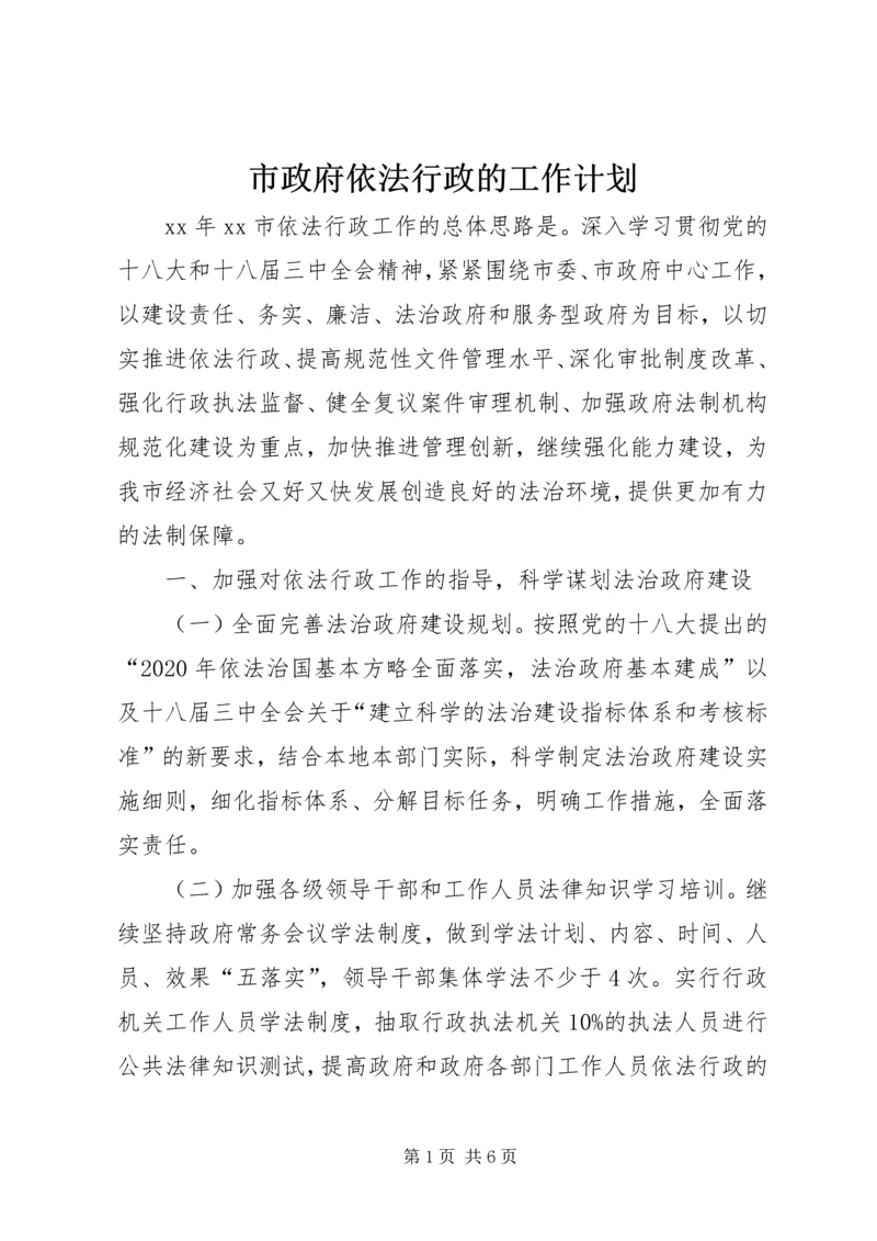 市政府依法行政的工作计划.docx