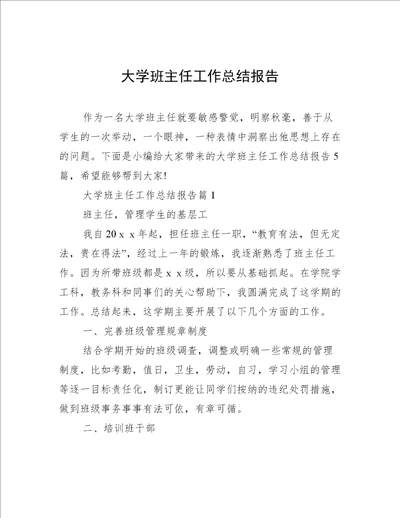 大学班主任工作总结报告