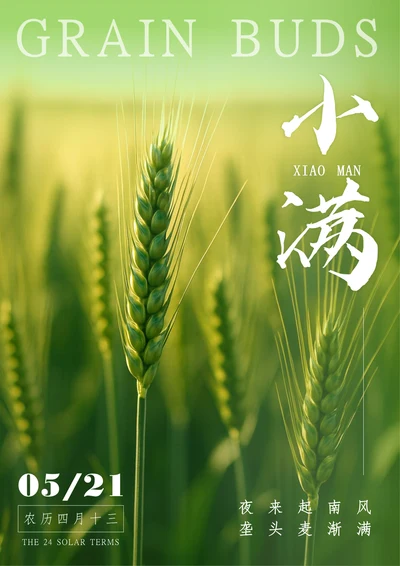 摄影风二十四节气小满海报