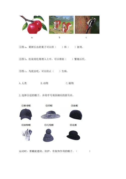 教科版二年级上册科学期末测试卷（突破训练）.docx