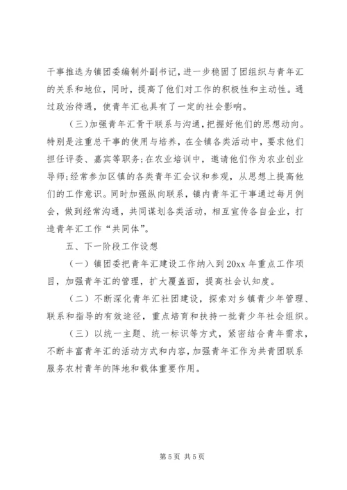 团委乡村青年汇工作调研报告.docx