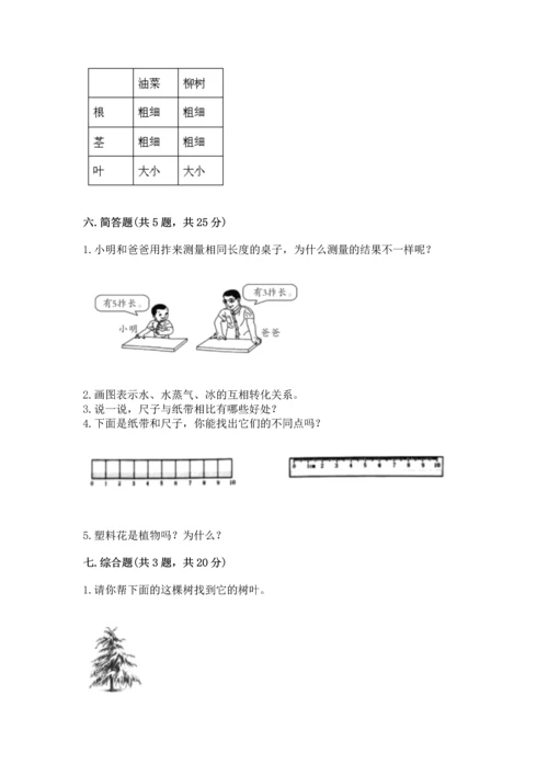 教科版一年级上册科学期末测试卷及答案【新】.docx