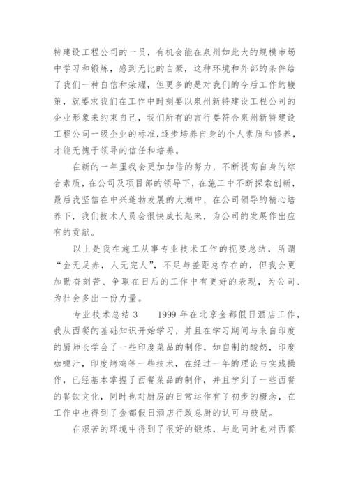 专业技术总结.docx