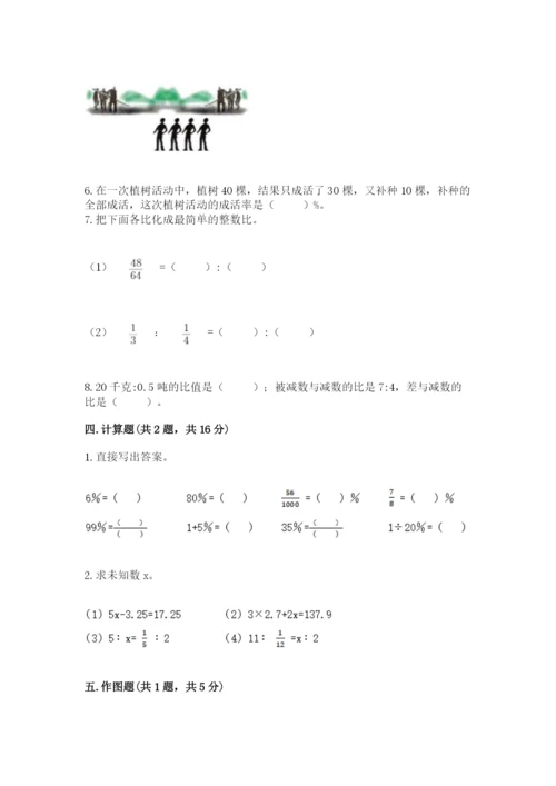 沪教版数学六年级下册期末检测试题（考点梳理）.docx