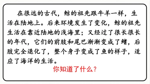 统编版语文五年级上册第五单元 习作例文《鲸》《风向袋的制作》 课件