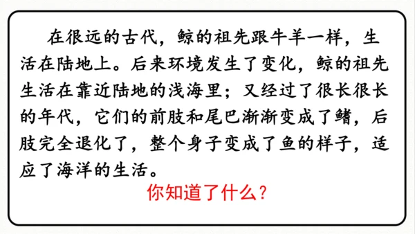 统编版语文五年级上册第五单元 习作例文《鲸》《风向袋的制作》 课件