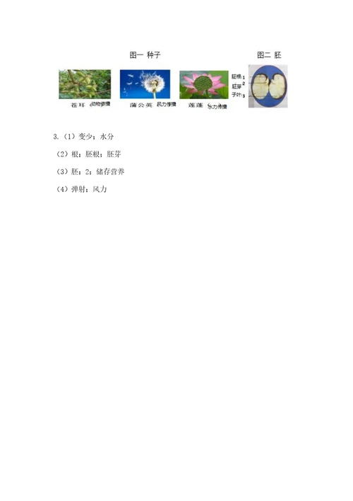 科学四年级下册第一单元植物的生长变化测试卷及参考答案能力提升