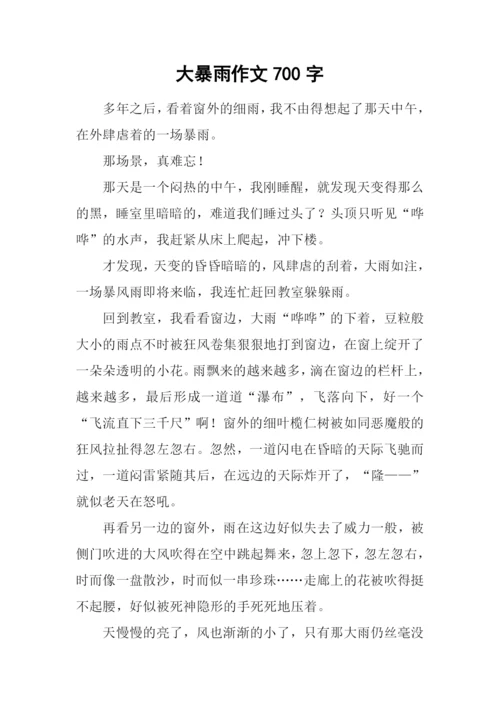 大暴雨作文700字.docx