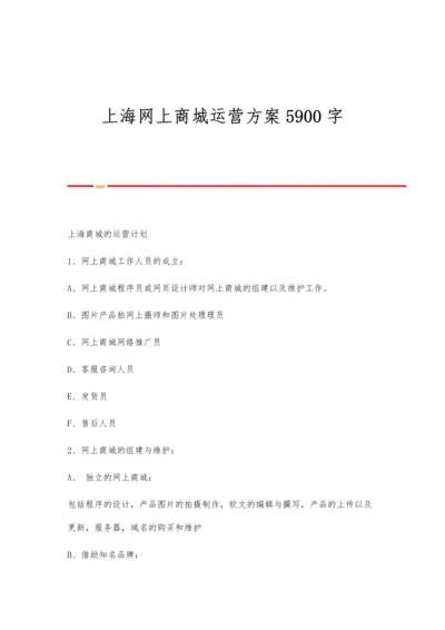 上海网上商城运营方案5900字.docx