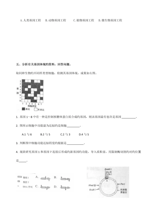 高考生物专题基因工程.docx