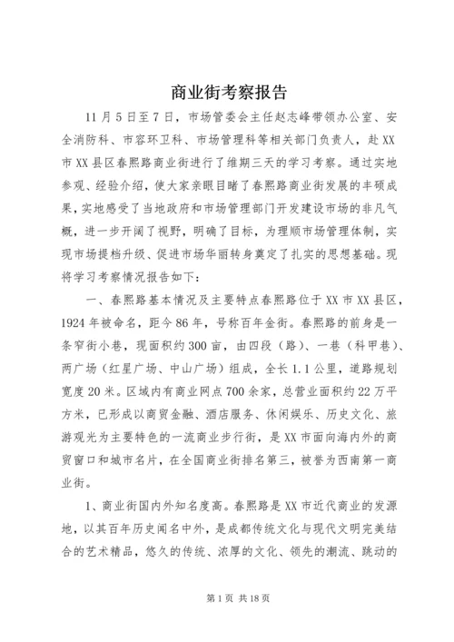 商业街考察报告.docx