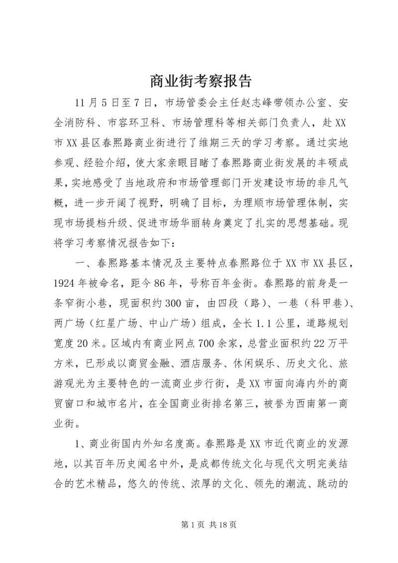商业街考察报告.docx