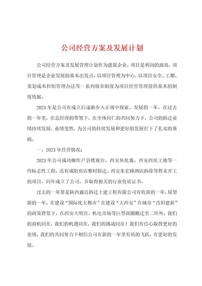 公司经营方案及发展计划