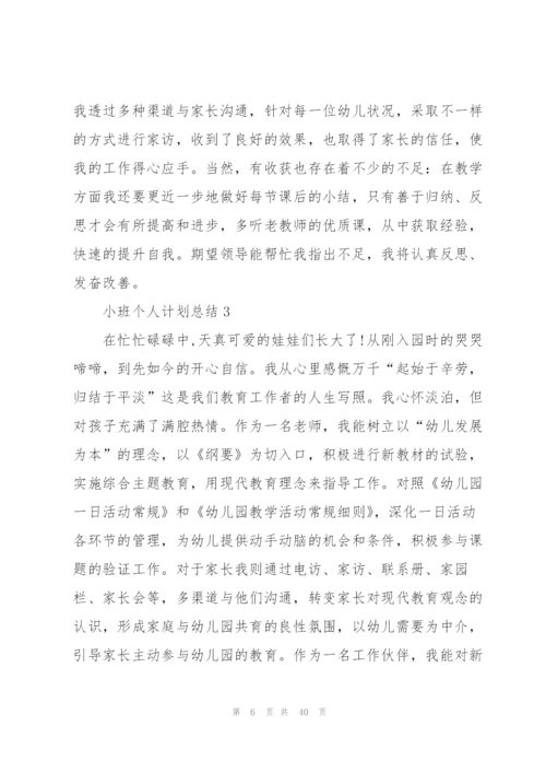 小班个人计划总结范文十篇.docx
