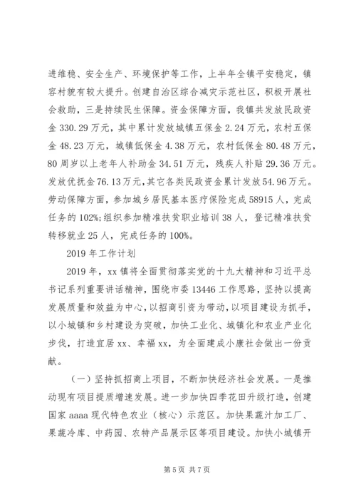 乡镇街道某年总结和某年工作计划.docx