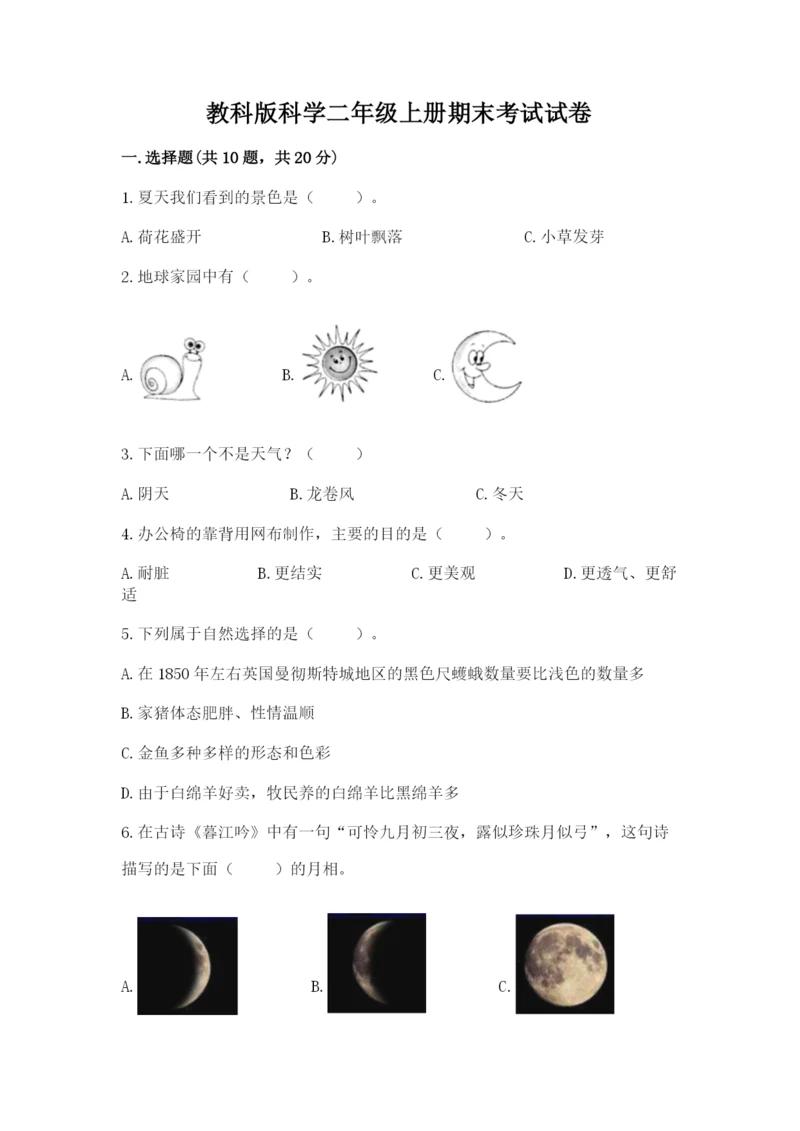 教科版科学二年级上册期末考试试卷1套.docx