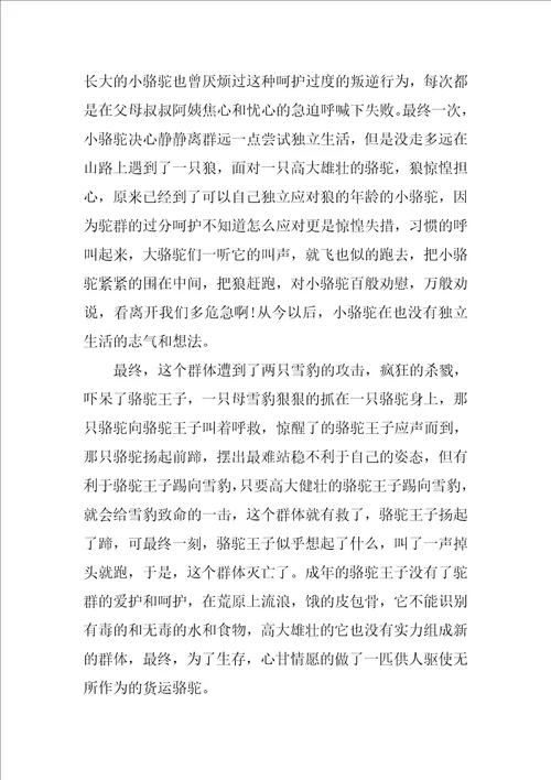 骆驼王子读后心得体会10篇