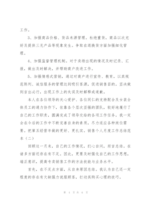 销售个人月度工作总结范本.docx