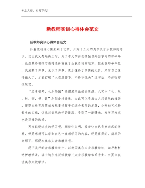 新教师实训心得体会范文范文12篇文档汇编.docx