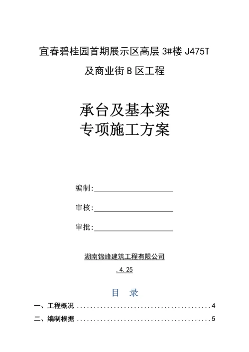 承台基础梁综合施工专题方案.docx