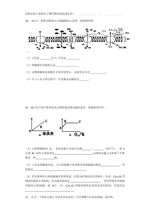 高中生物必修一第四章测试卷.docx