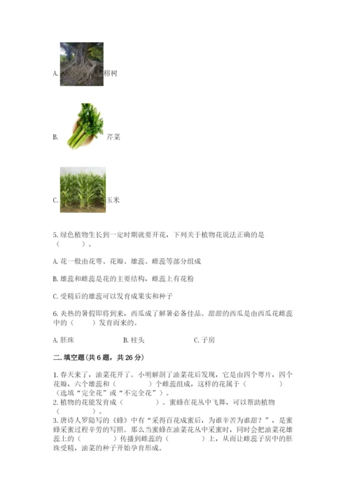 科学四年级下册第一单元植物的生长变化测试卷【预热题】.docx