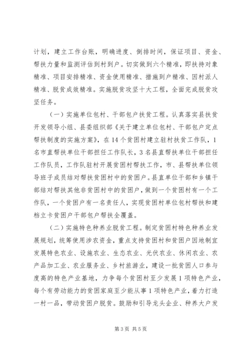 村XX年脱贫攻坚计划.docx