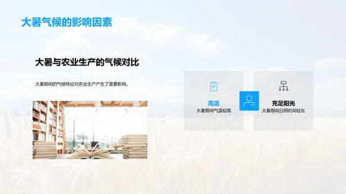 大暑农业生产