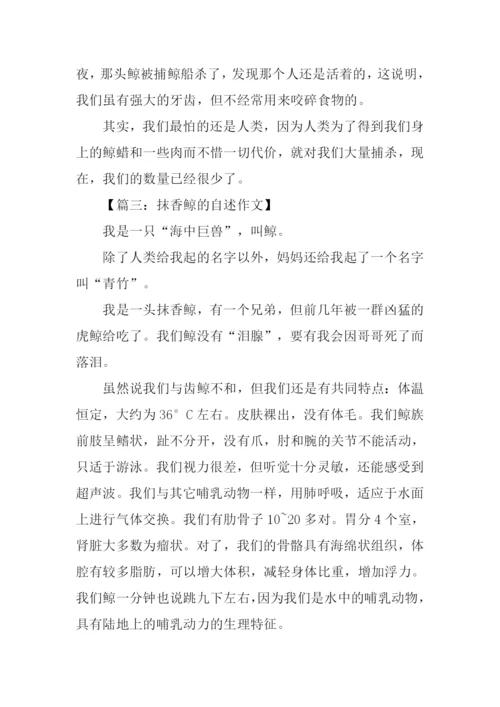 抹香鲸的自述500字.docx