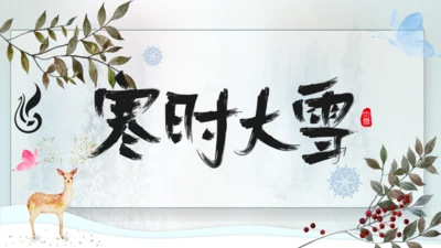寒时大雪时节通用PPT模板