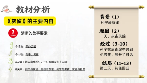 三年级语文上册灰雀说课课件